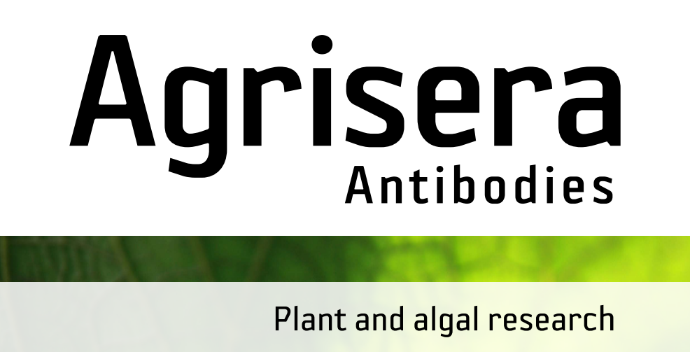 Agrisera MicroRNA相關研究植物蛋白抗體火熱促銷中！